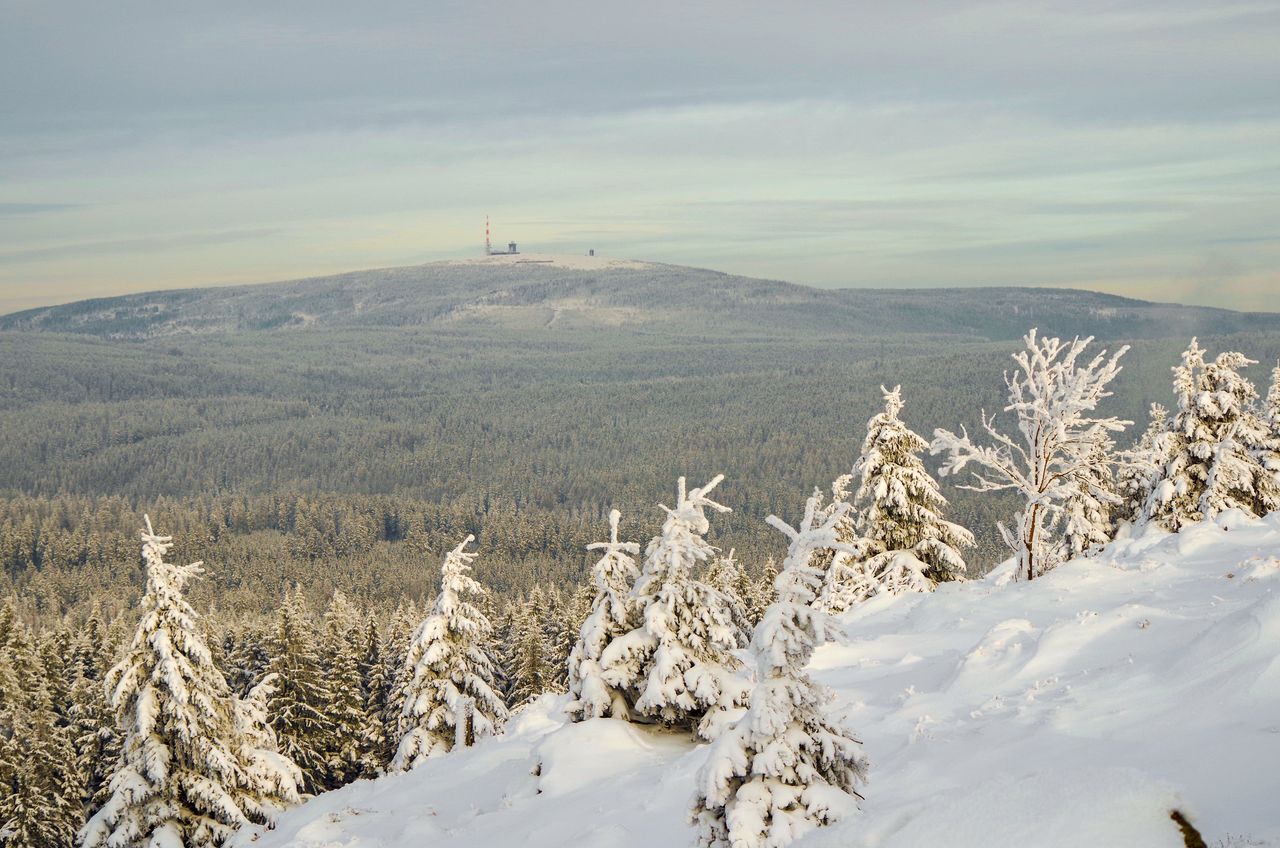 Winter at the sonnenberg
