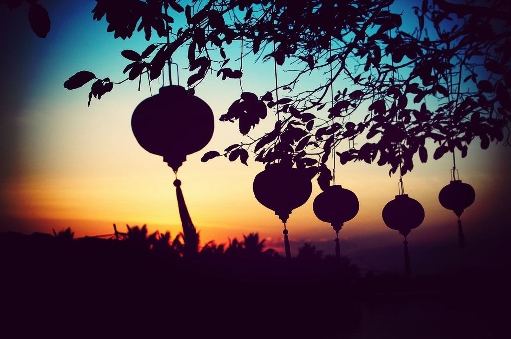 Silhouette lanterns hanging from tree during sunset