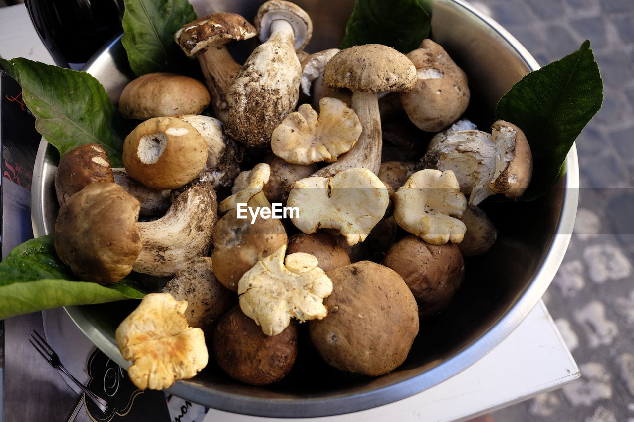 High angle view of edible mushrooms in container