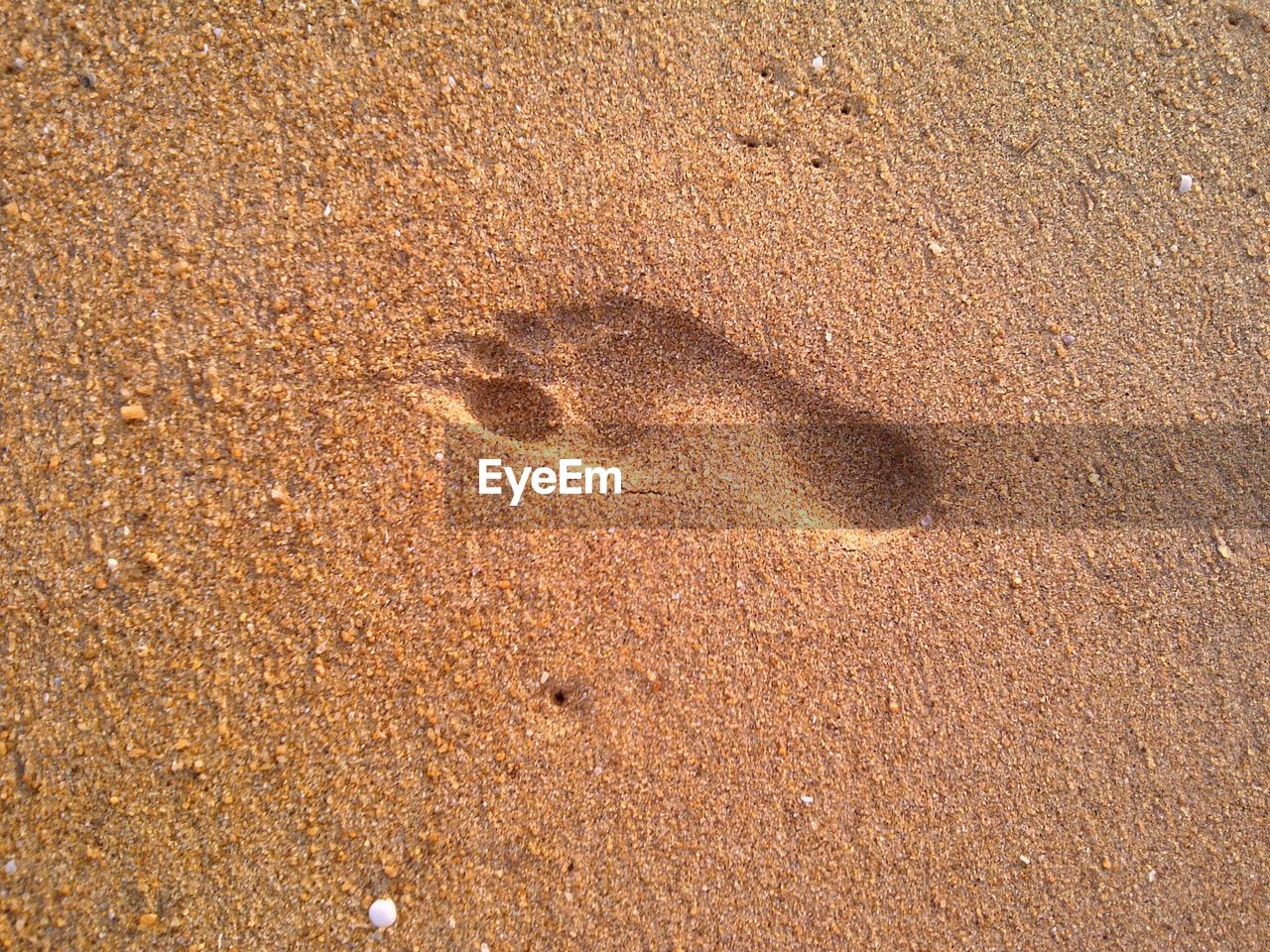 A footprint on the sand Sand Land Beach High Angle View No People Full Frame FootPrint Brown Nature Day Backgrounds Sunlight Pattern Textured  Print Tranquility Track - Imprint Close-up Wet Outdoors FootPrint Brown Background