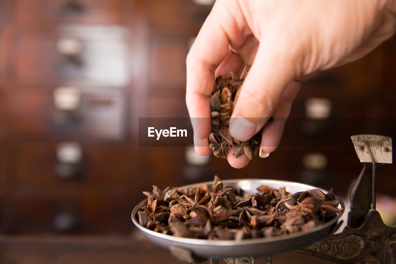 Close-up of hand holding asian herbal food ingredient star anise