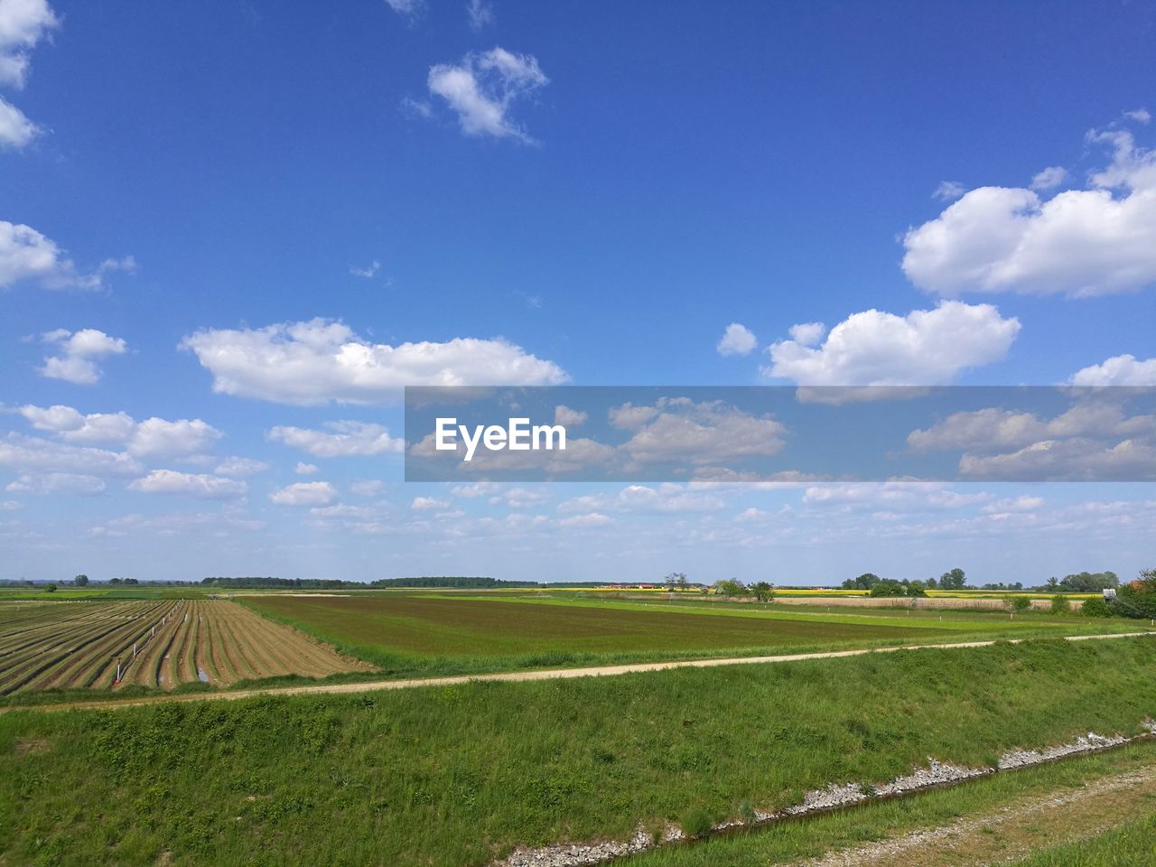 SCENIC VIEW OF AGRICULTURAL FIELD AGAINST BLUE SKY