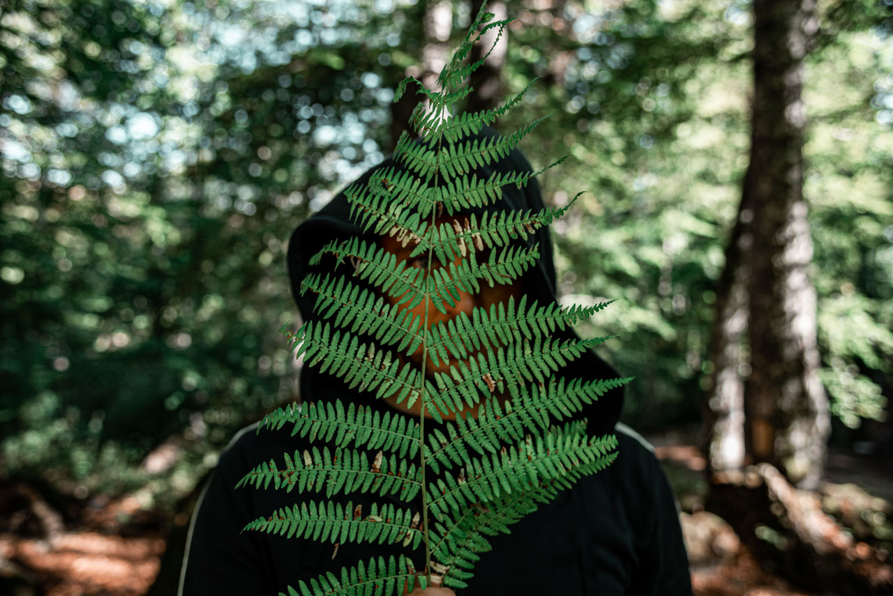 Portrait of person in forest