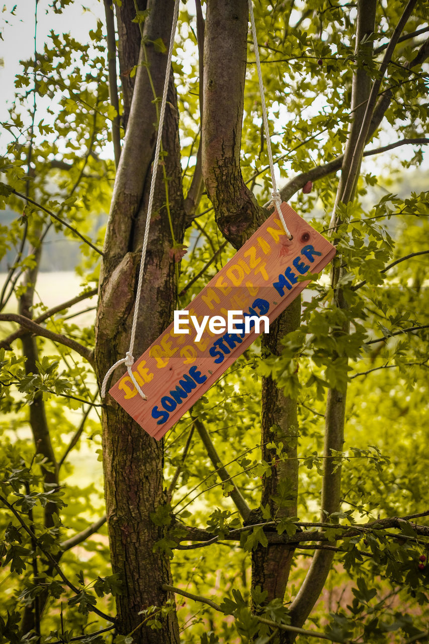 Sign hanging on a tree