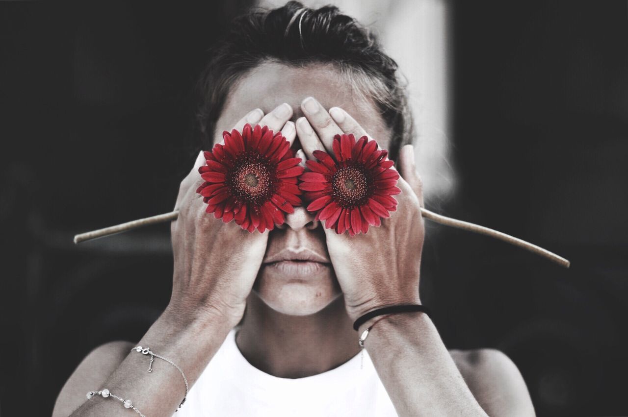 Close-up of woman covering eyes with red gerbera daisies