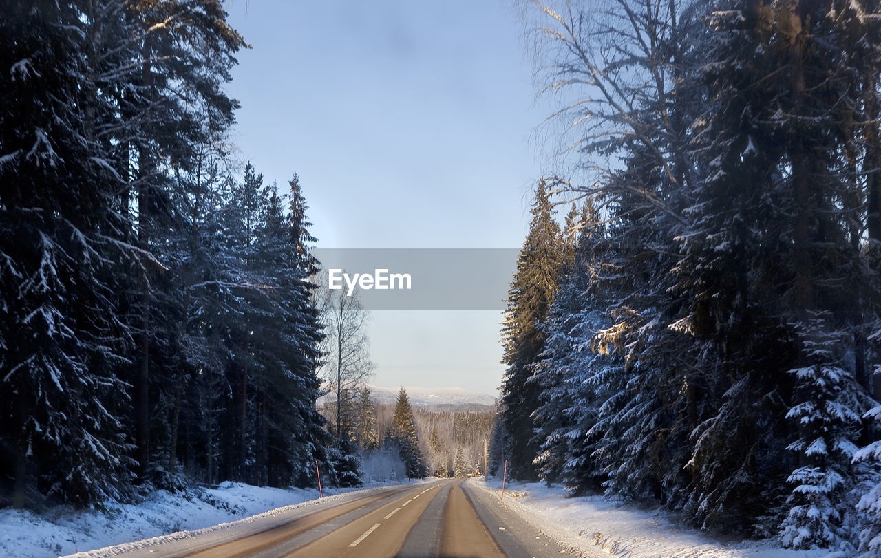 Empty road amidst snow covered trees against sky