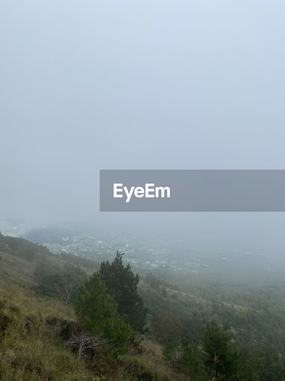 water, fog, beauty in nature, nature, scenics - nature, sea, land, no people, mist, environment, day, plant, coast, copy space, outdoors, motion, sky, tranquility, cliff, tranquil scene, non-urban scene, landscape, tree, mountain, beach, idyllic