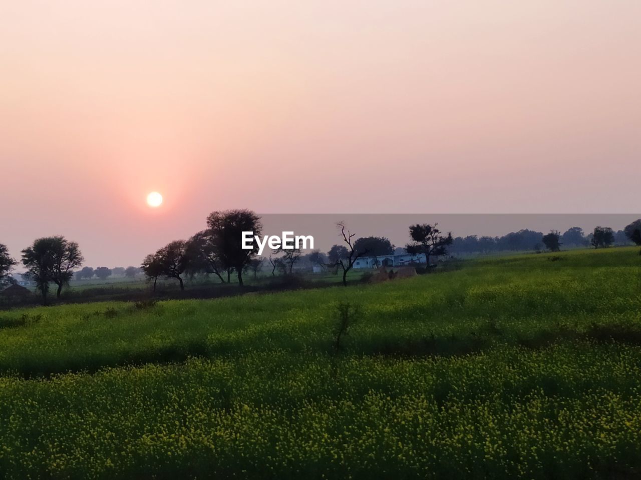 SCENIC VIEW OF FARM AGAINST SKY DURING SUNSET
