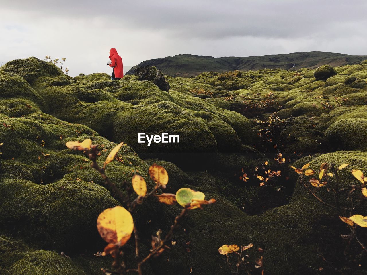 Person standing on moss covered rocks against sky