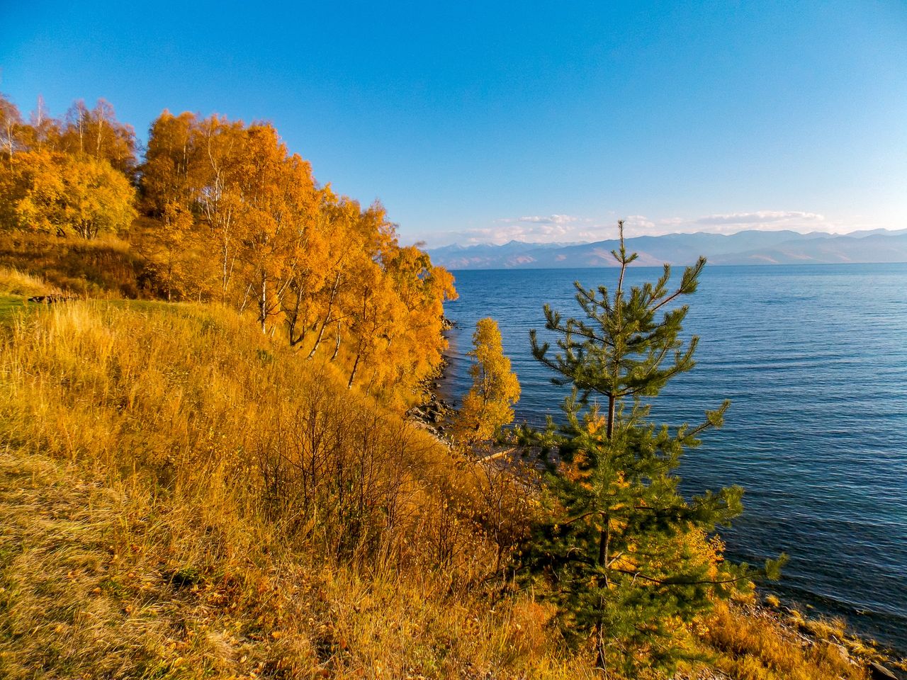 scenic view of sea against sky during autumn