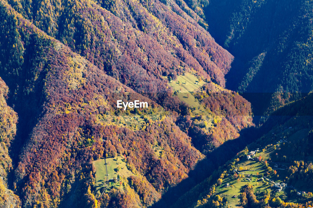 HIGH ANGLE VIEW OF TREES AND MOUNTAINS