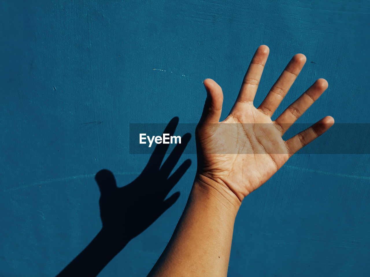 High angle view of human hand against blue wall