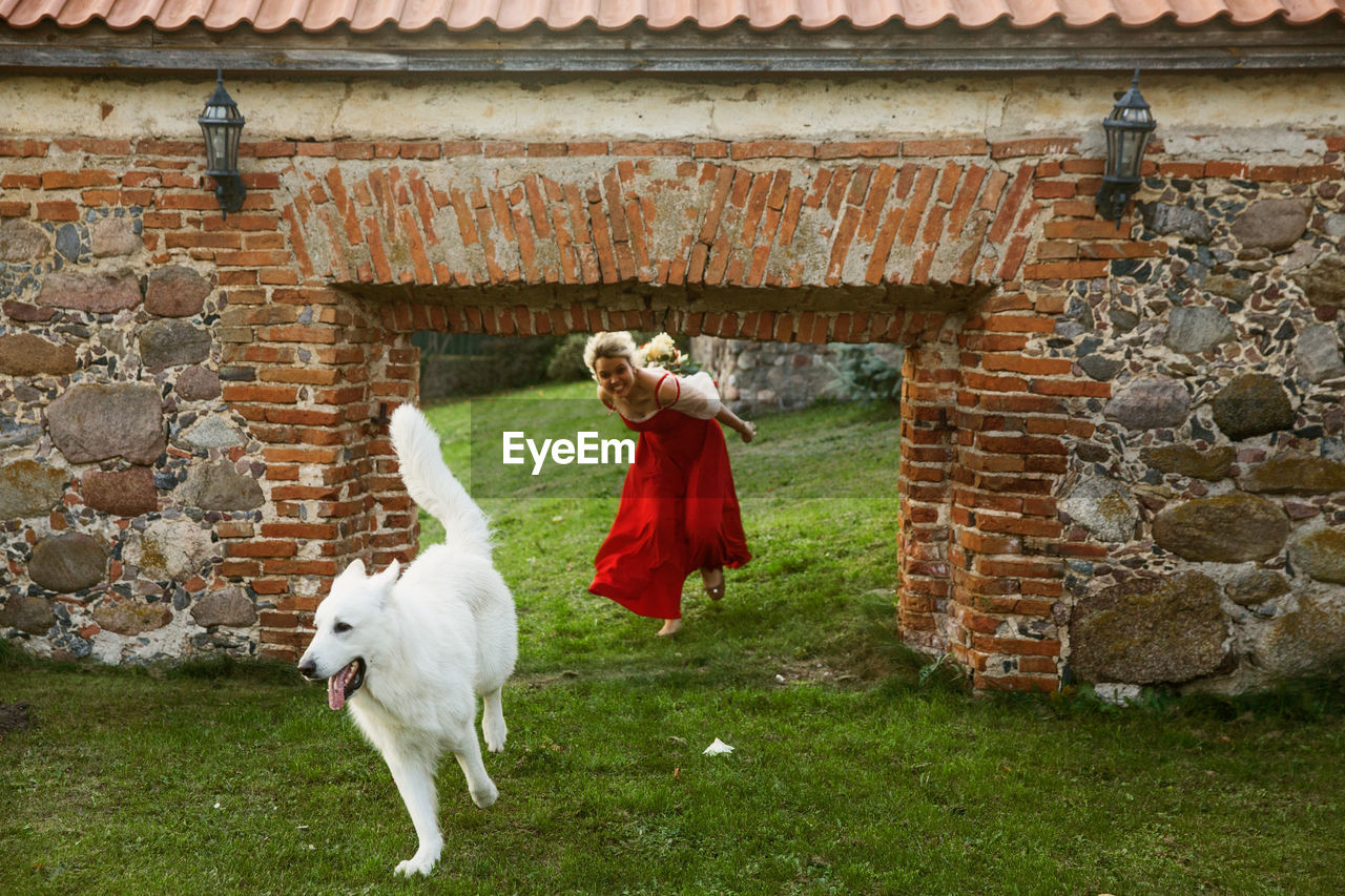 View of dog on the wall