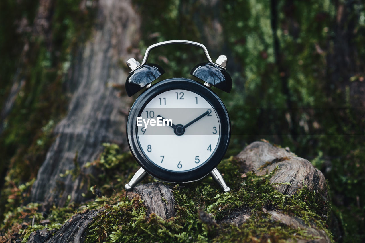 Clock in the forest, time-break, spending time in nature and flow of time concept