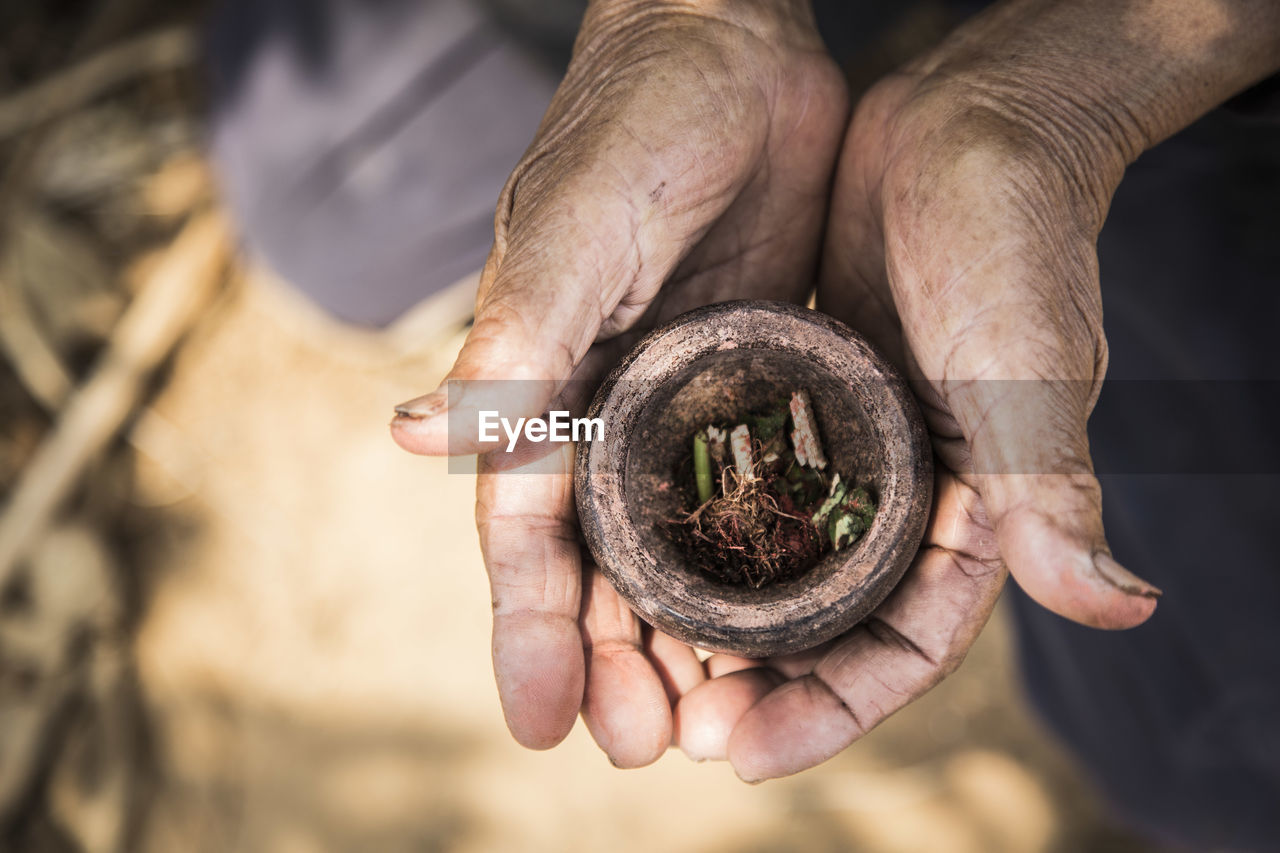Cropped hands holding herb in mortar