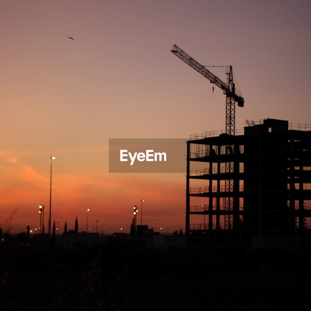SILHOUETTE CRANES AGAINST BUILDINGS AT SUNSET