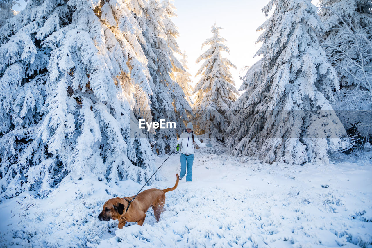 Woman with dog by snow covered trees on land against sky