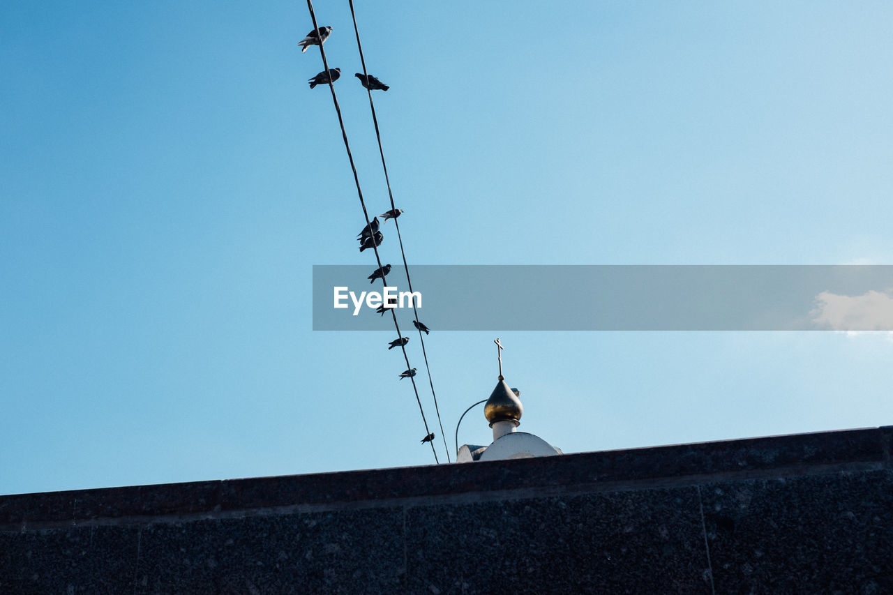 Low angle view of birds perching on cable by church against sky