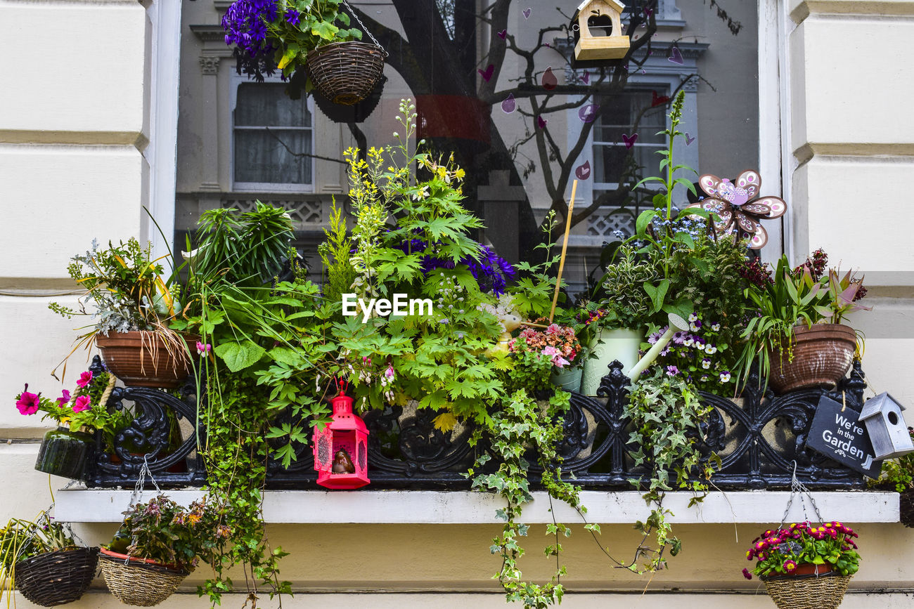 Decorations With Potted Plants On Window Sill Id 85980121