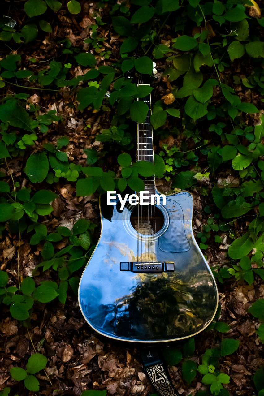 Close-up of guitar in yard