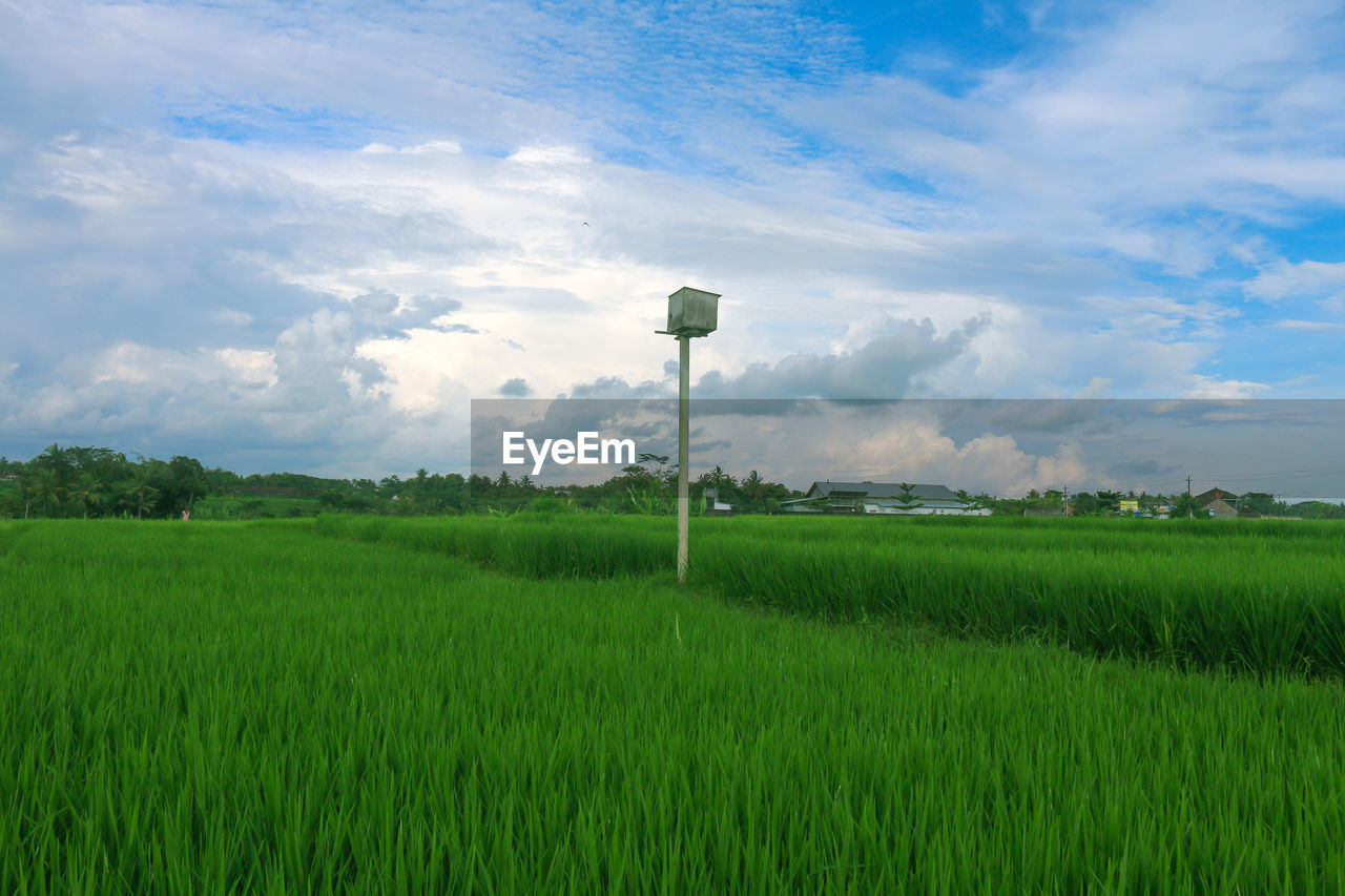 SCENIC VIEW OF FARM FIELD AGAINST SKY