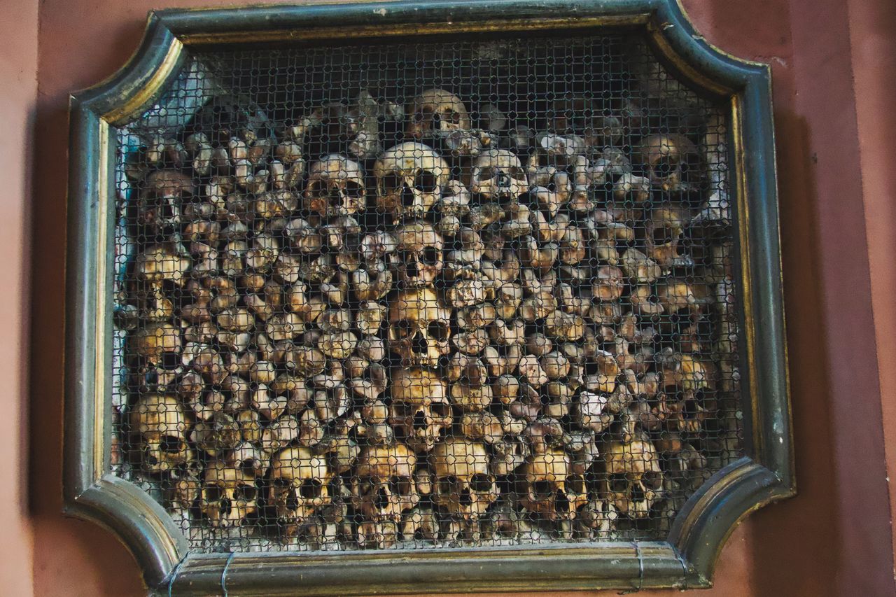 Close-up of skulls 
