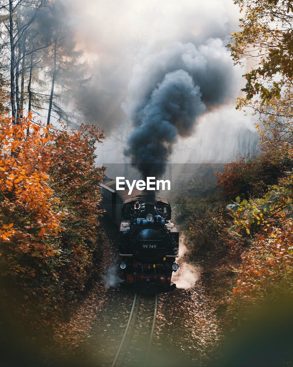 Train emitting smoke amidst trees during autumn