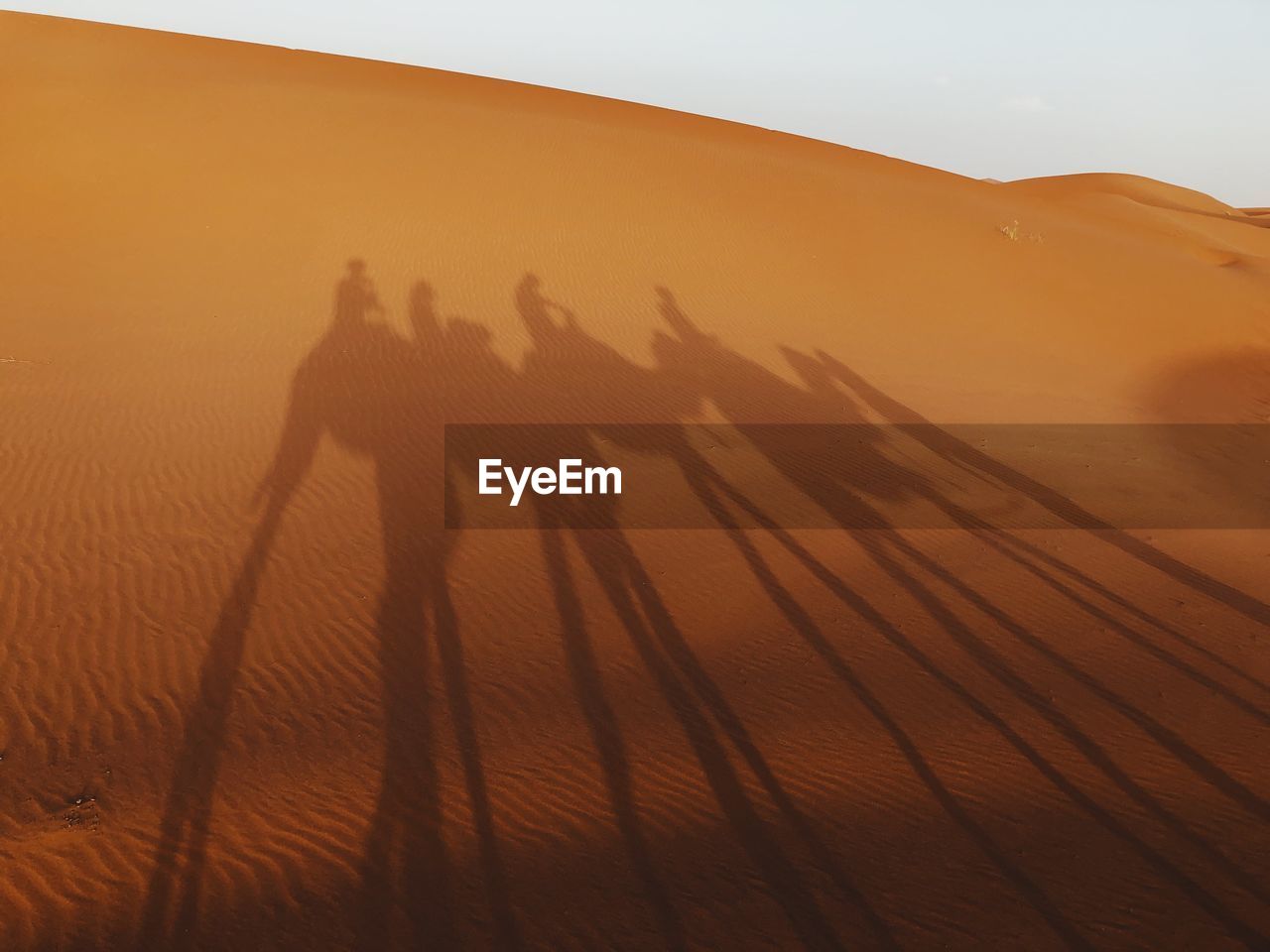 Shadow of people sitting on camel in desert