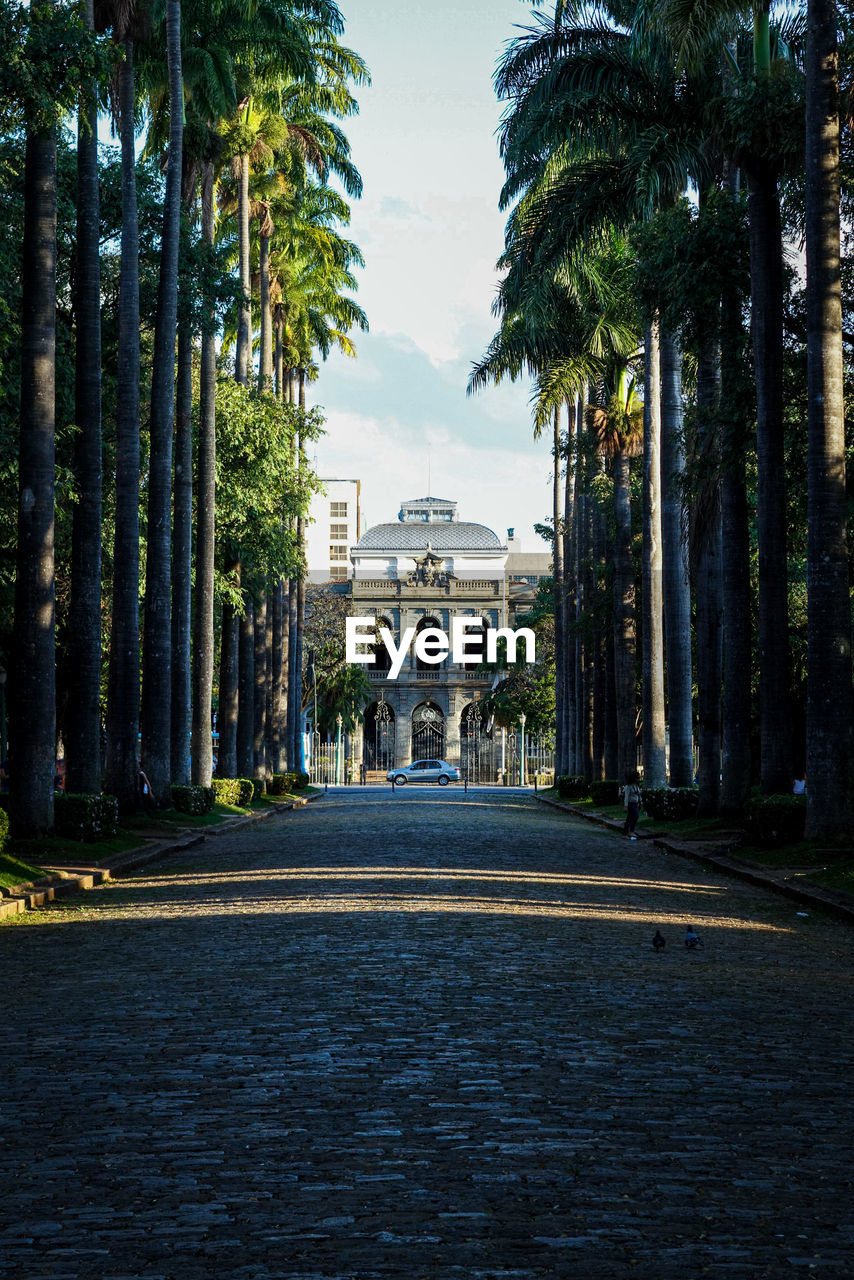 Street amidst trees and buildings against sky