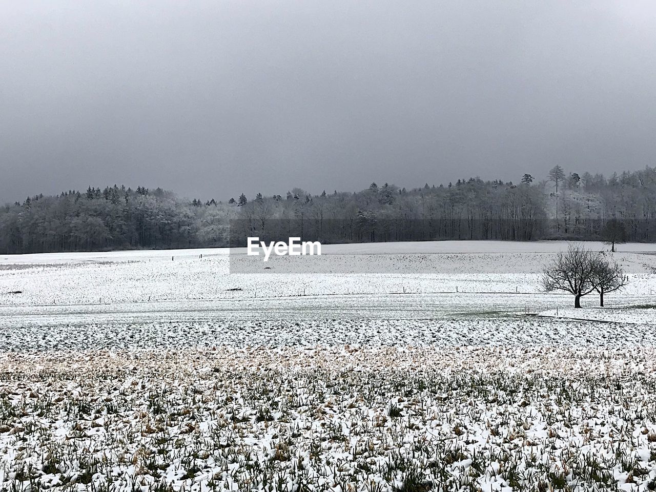 Winter Landscape Switzerland The Sun Is Hiding On Eyeem