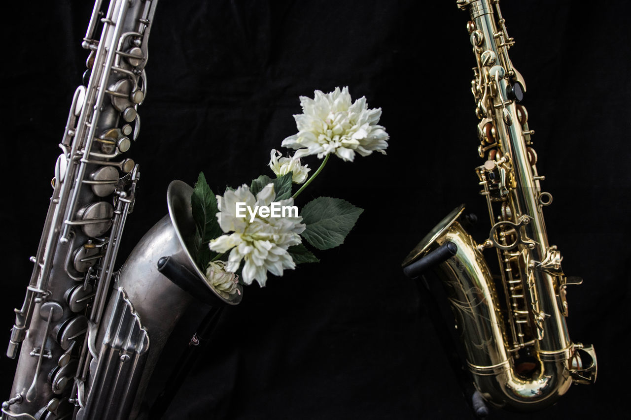Saxophones with white flowers against black background