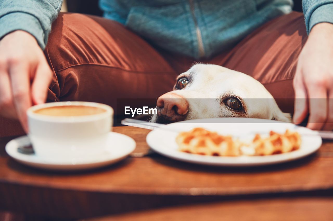 Midsection of man with dog by breakfast on table