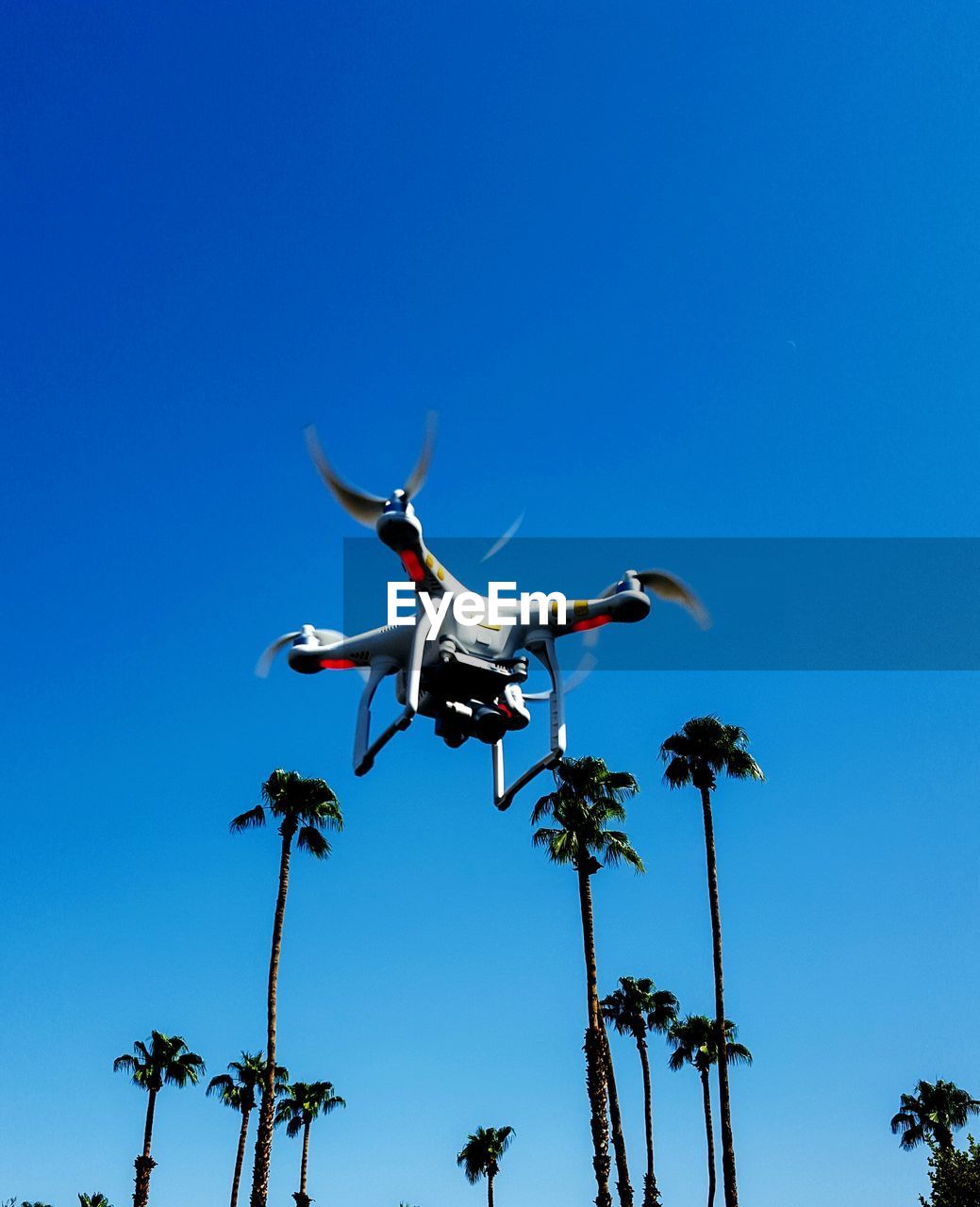 Low angle view of drone and palm trees against clear blue sky