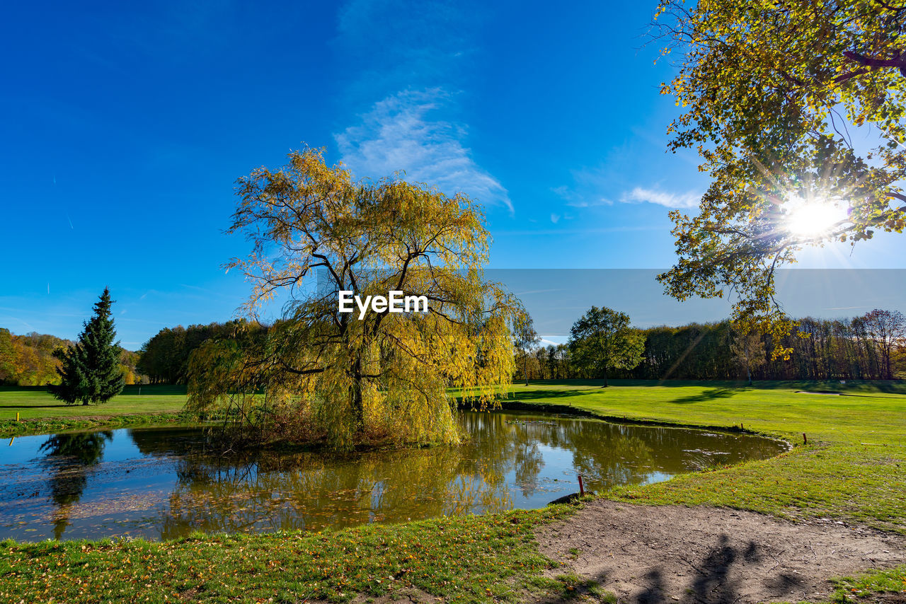 SCENIC VIEW OF LAKE BY TREES AGAINST SKY