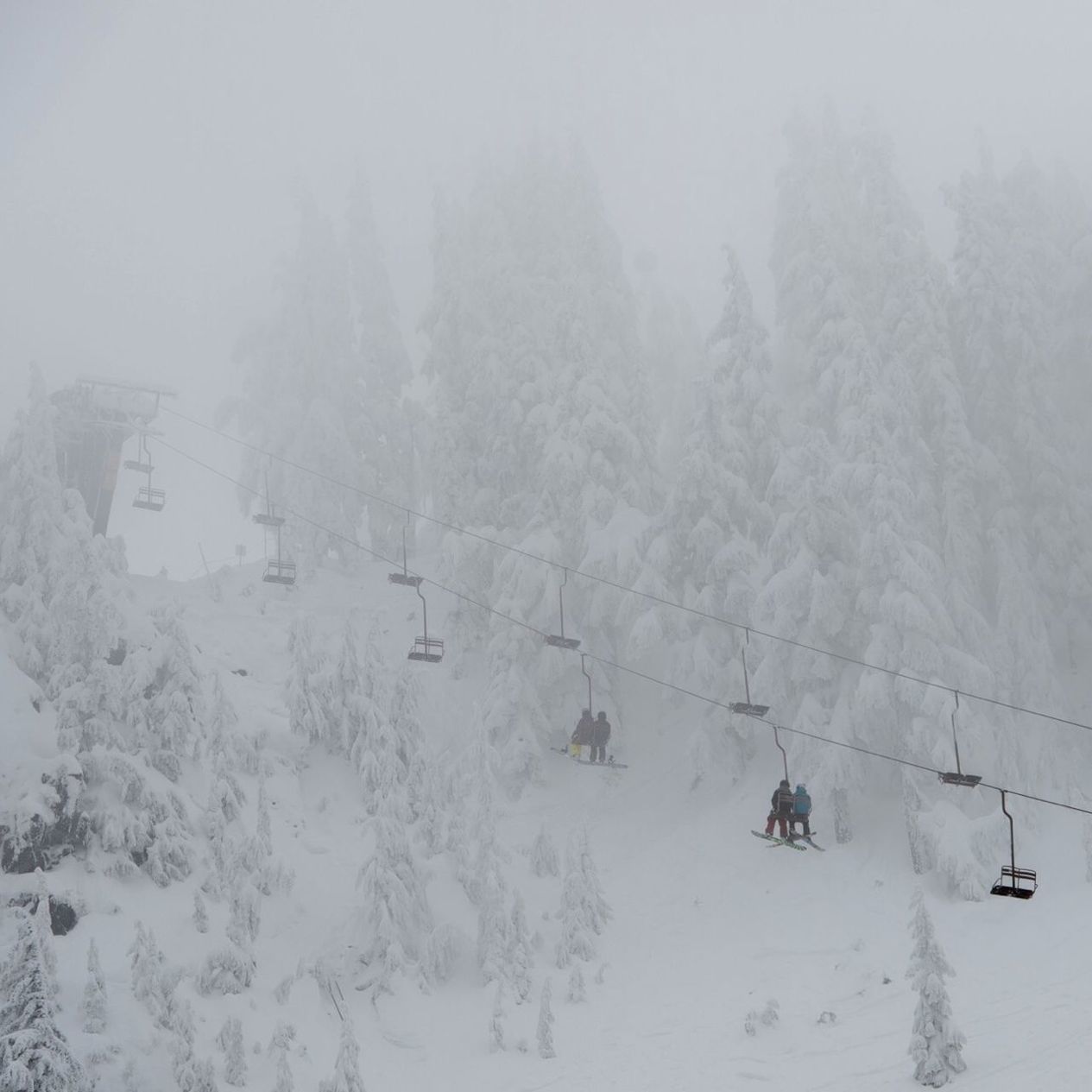 Ski lift against snow covered trees