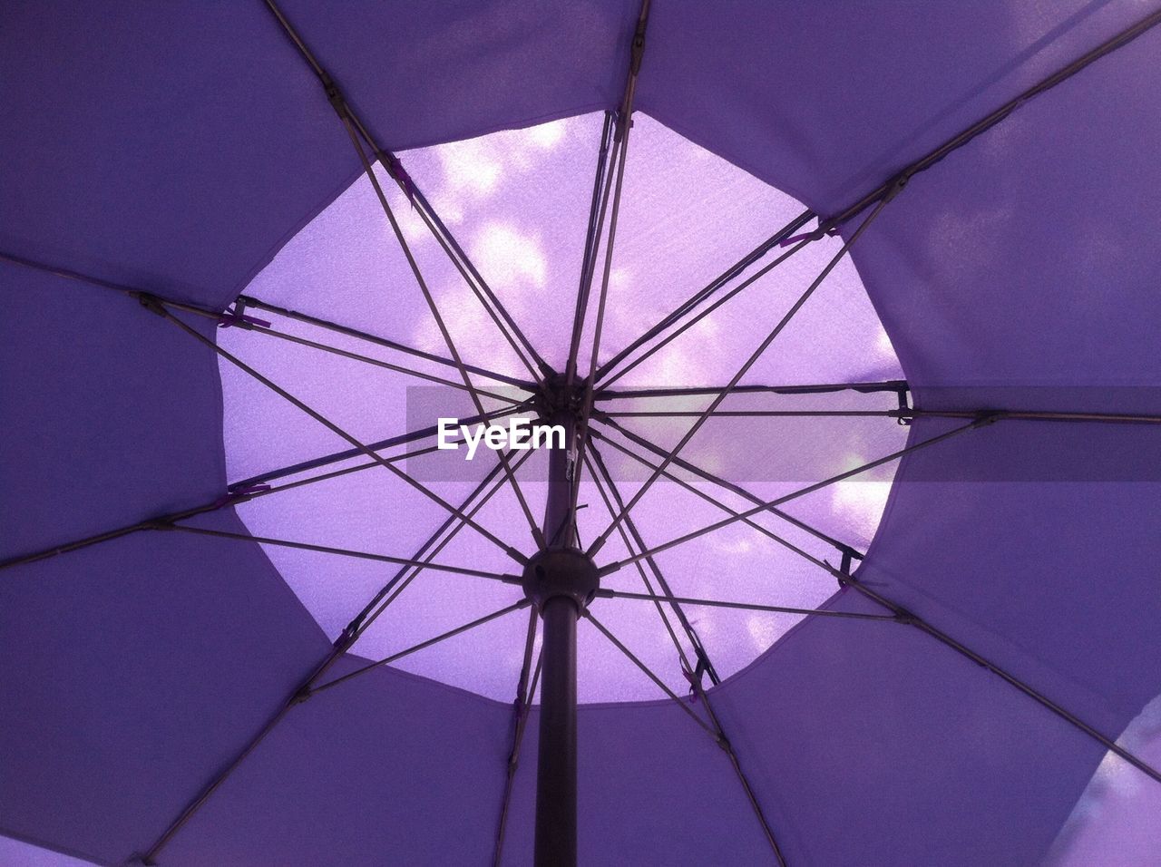 Low angle view of purple umbrella