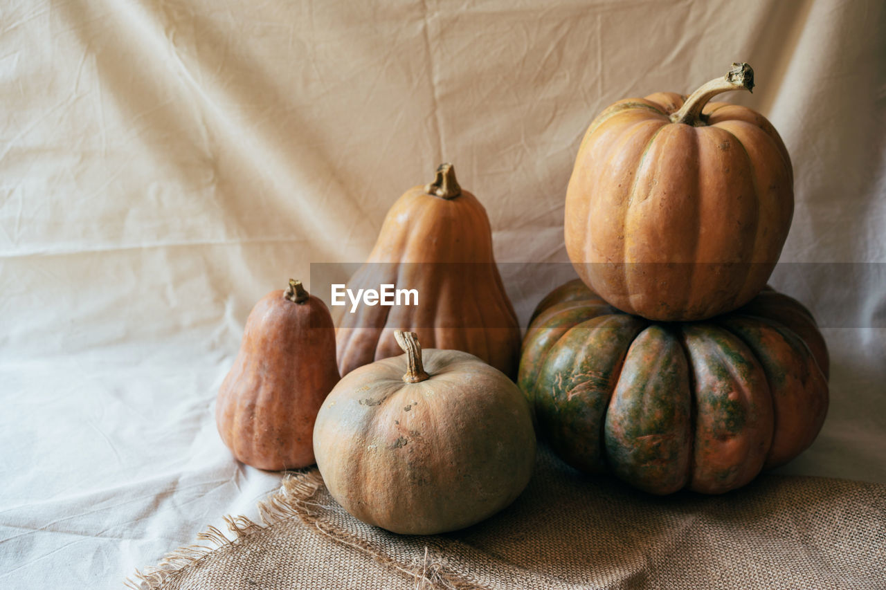 A simple still life with autumn pumpkins on bright draperies. place for text.