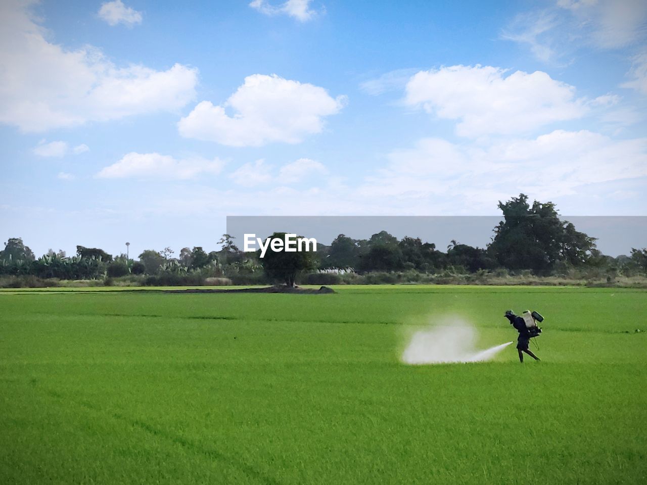 Man spraying fertilizers in farm