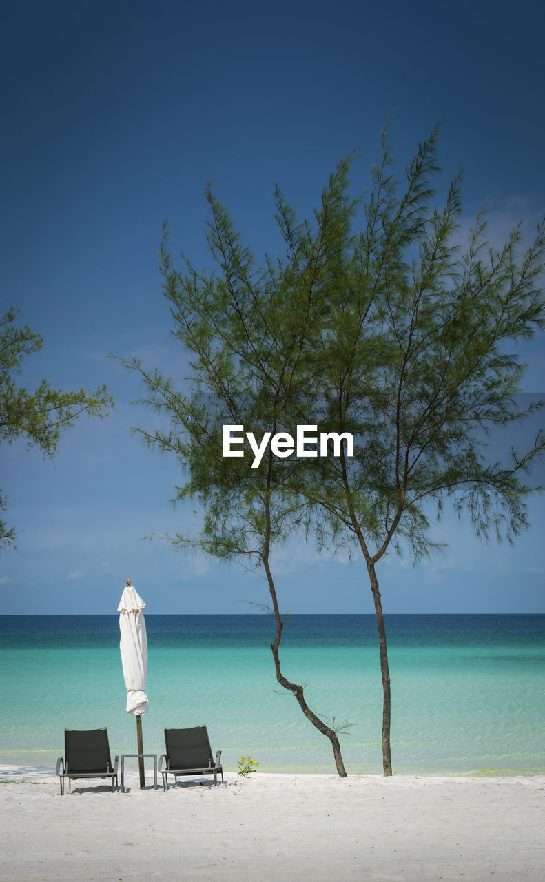 water, sea, tree, beach, sky, nature, shore, land, horizon, ocean, horizon over water, body of water, plant, tranquility, beauty in nature, seat, scenics - nature, tranquil scene, blue, relaxation, vacation, rear view, trip, holiday, sunlight, sand, chair, coast, full length, travel destinations, tropical climate, outdoors, bay, sitting, adult, travel, clear sky, day, idyllic, solitude, morning, one person, summer, loneliness, tourism, leisure activity, women