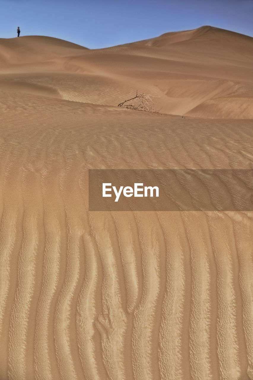 SAND DUNE IN DESERT