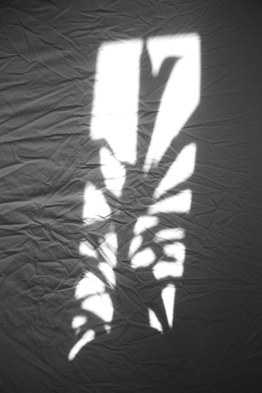 SHADOW OF PERSON ON WALL