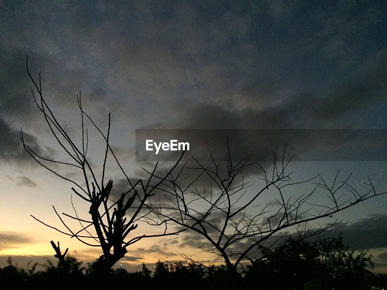 LOW ANGLE VIEW OF SILHOUETTE BARE TREE AGAINST SKY AT SUNSET