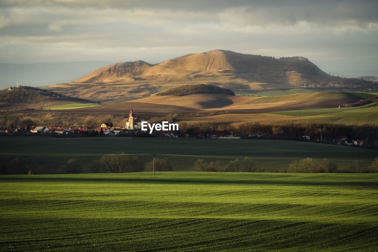 SCENIC VIEW OF LANDSCAPE