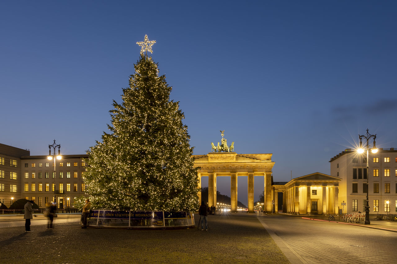 ILLUMINATED CHRISTMAS TREE BY BUILDING AGAINST SKY