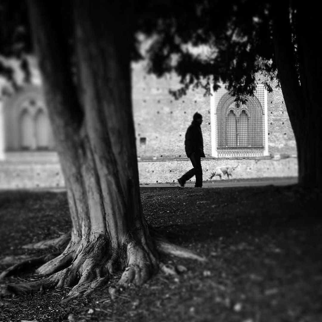 WOMAN WALKING ON TREE TRUNK