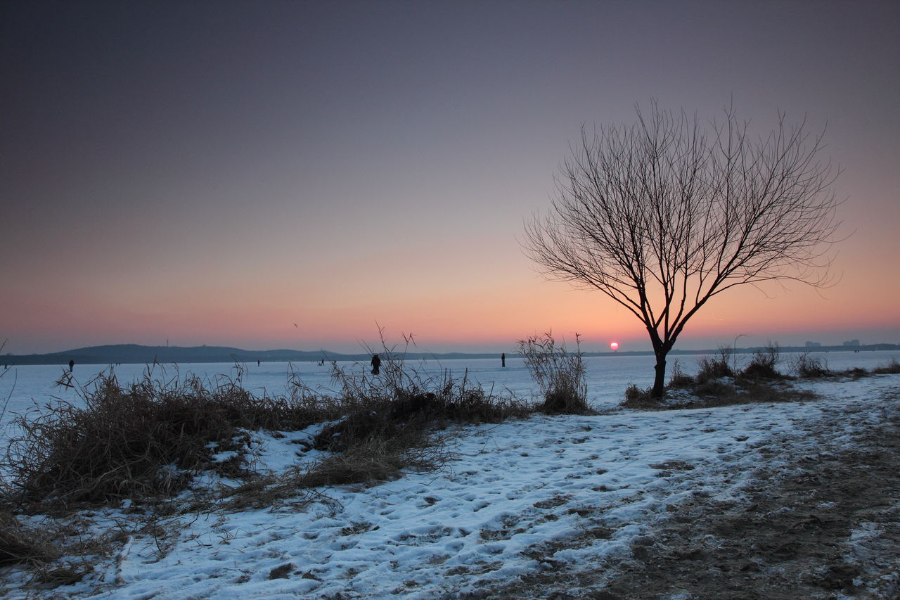 SCENIC VIEW OF FROZEN SEA AGAINST CLEAR SKY