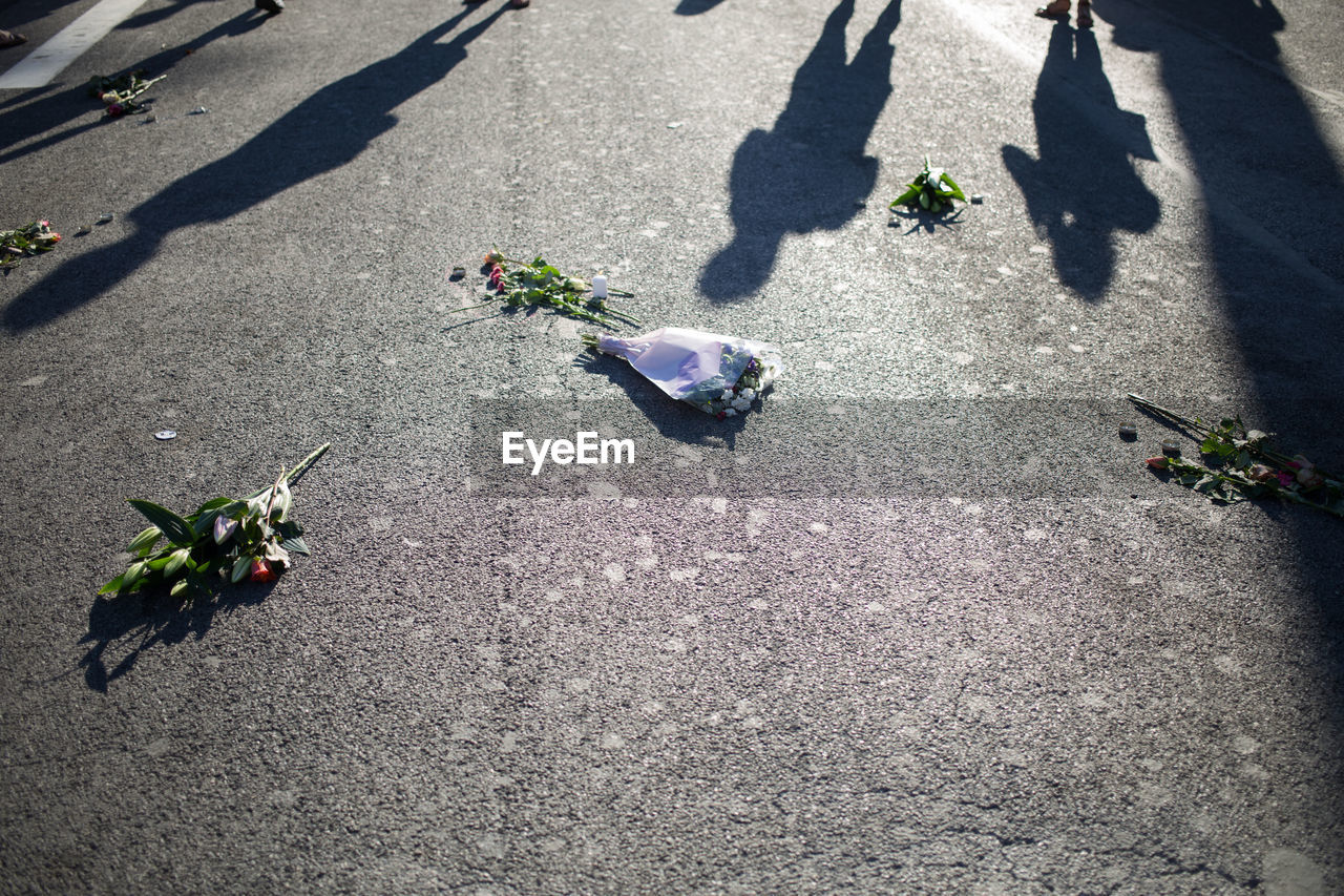 Shadow of people with bouquets on street after terrorist attack
