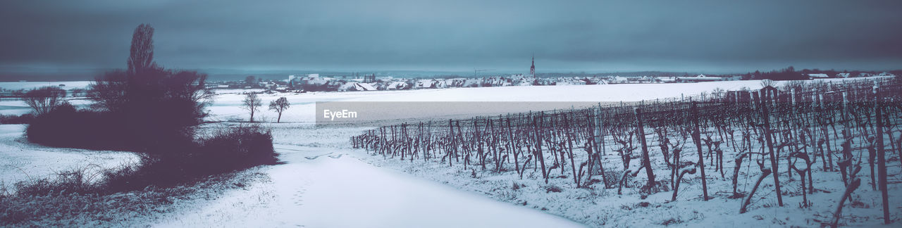 Winter landscape in rural germany