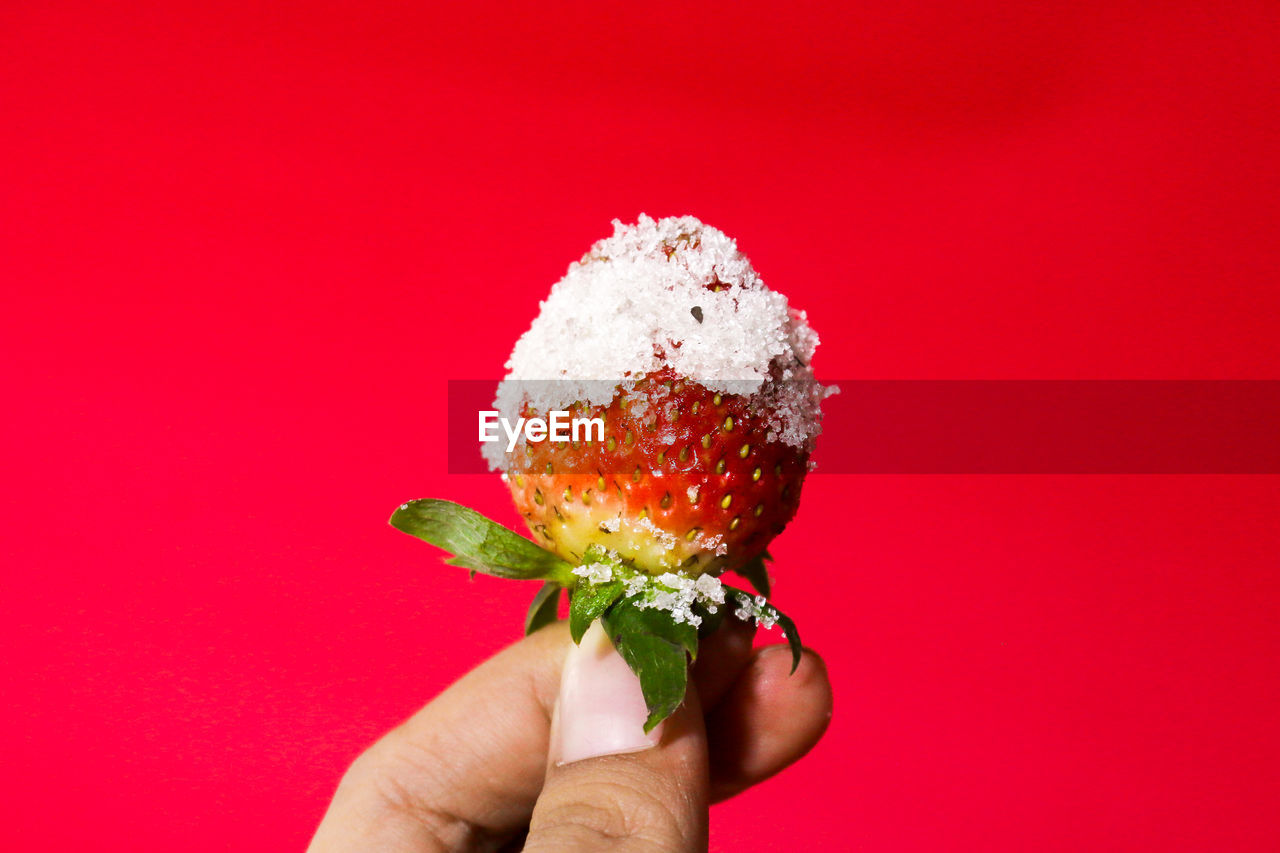 CLOSE-UP OF HAND HOLDING RED FLOWER