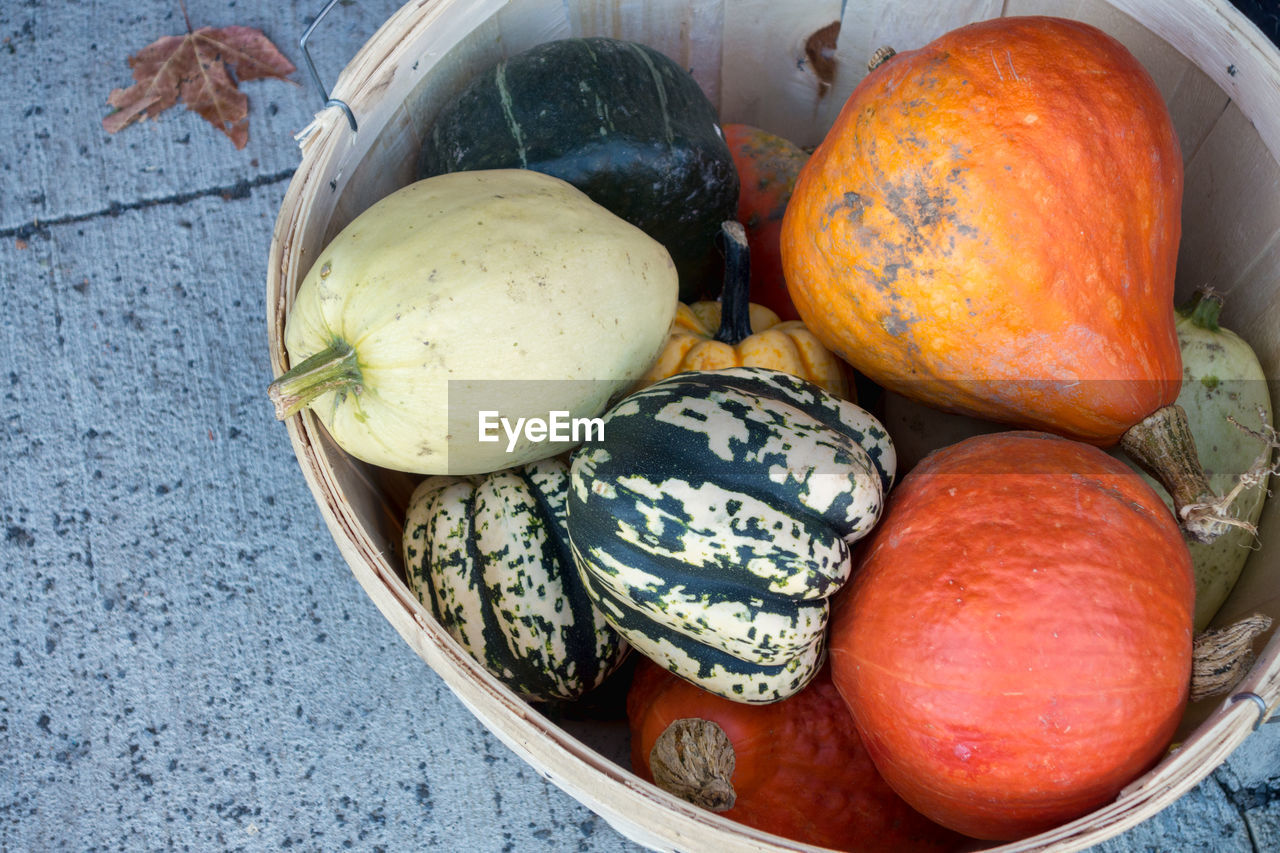 HIGH ANGLE VIEW OF PUMPKINS IN CONTAINER